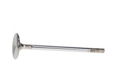 Manley Ford 4.6L DOHC (4 Valve) Triple Groove 37mm Race Master Intake Valves - Single