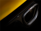 Akrapovic 10-16 Renault Megane Coupe RS Evolution Line Cat Back (Titanium) w/ Carbon Tips